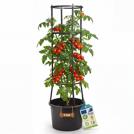 BigDean 5 Stück Tomatentopf XL ca 40cm und 154cm hoch stabil Made in Europa image 1
