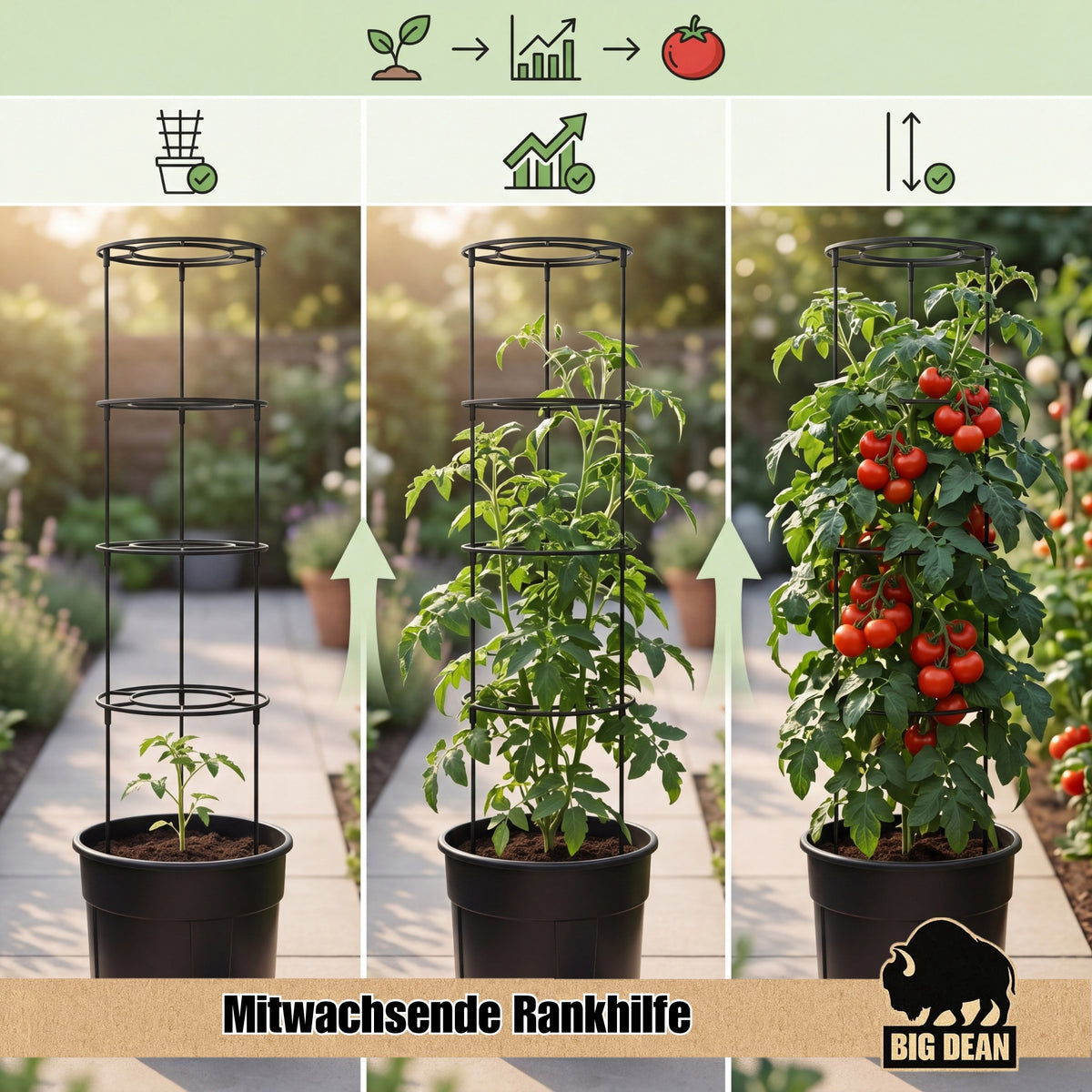 BigDean 5 Stück Tomatentopf XL ca 40cm und 154cm hoch stabil Made in Europa image 5