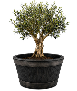 Weinfass XL Eichenfass Kunststoff Bottich Blumenkasten Trog Zuber Gartenteich Mini Teich Fass Nachbildung Durchmesser 63 cm Höhe 38 cm ca. 90 Liter
