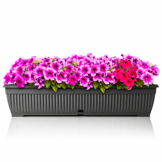 BigDean Blumenkasten 80cm mit abnehmbarem Untersetzer - aus bruchsicherem Kunststoff - Balkonkasten Pflanzkasten mit Wasserspeicher für Innen- & Außenbereich geeignet - Made in Europe image 1