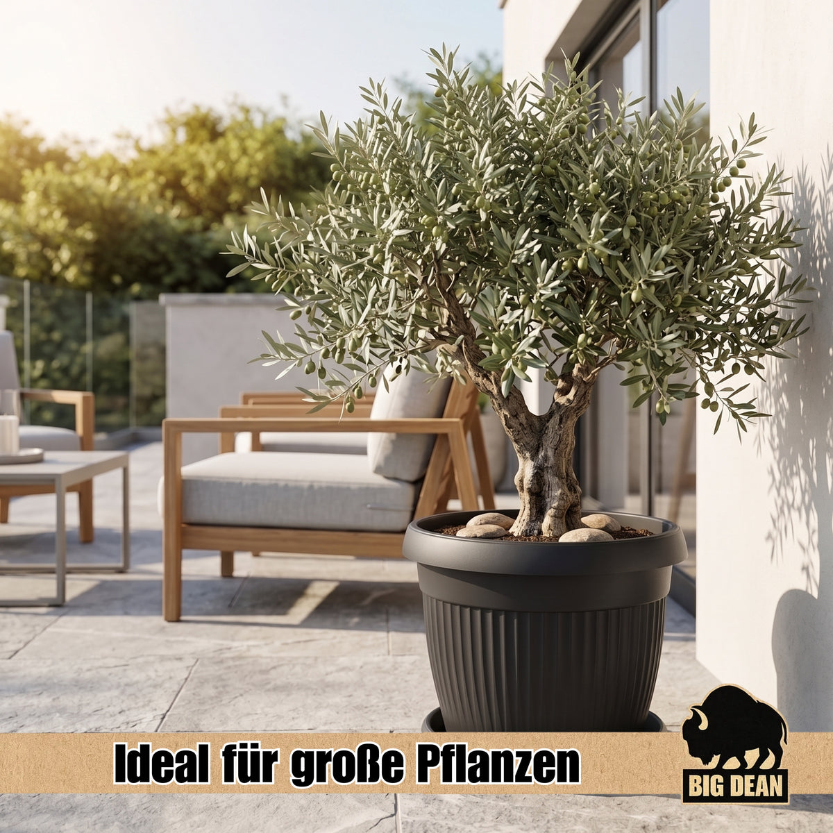BigDean 62cm Blumentopf mit Untersetzer rund Anthrazit - wetterfester Pflanzkübel - Wasserablauf UV-beständig aus bruchsicherem Kunststoff - Innen + Außen geeignet - Made in Europe image 5