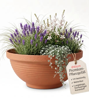 XXL Schale 65cm x 24 cm hoch Pflanzschale Miniteich