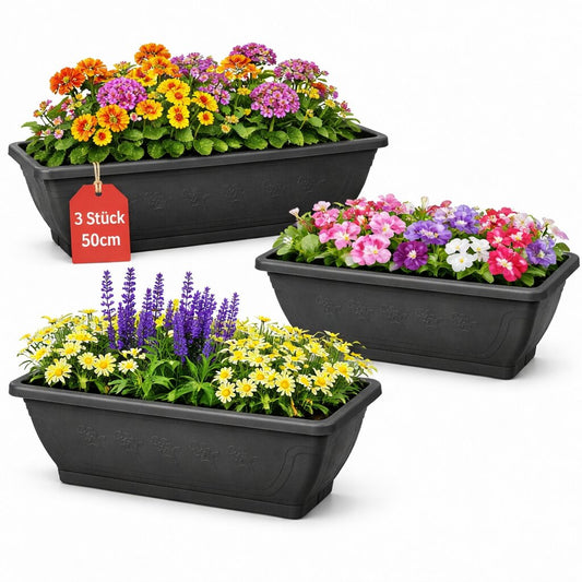 BigDean 3x Blumenkasten mit abnehmbarem Untersetzer - Anthrazit 50 cm lang aus bruchsicherem Kunststoff - Pflanzkasten mit Wasserspeicher für Innen- & Außenbereich geeignet - Made in Europe image 1