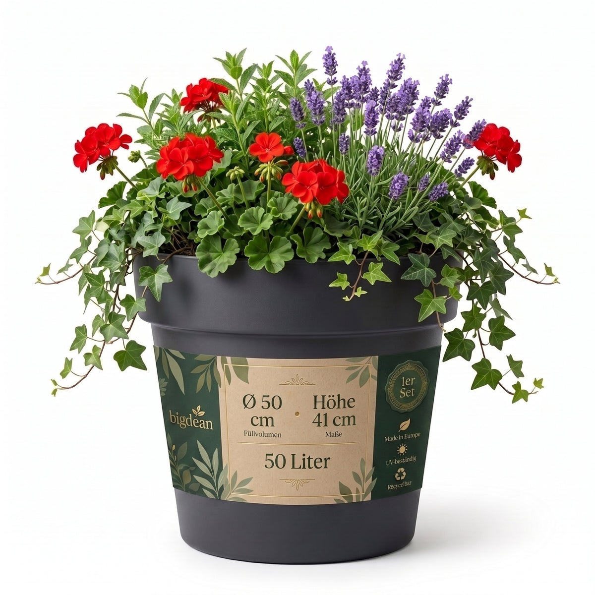 BigDean Blumentopf ca. ø 50 cm Classic anthrazit Pflanzkübel groß außen | -mit Wasserspeicher - wetterfester Kunststoff - Pflanzkübel groß Innen -  image 2