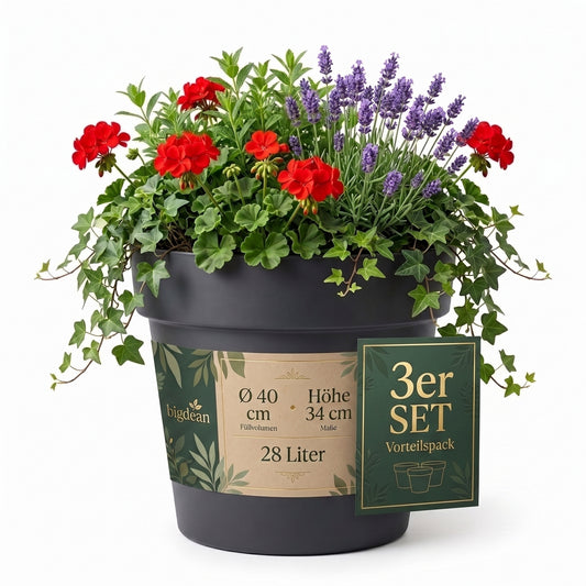 BigDean 3 Stück Blumentopf ø 40 cm Classic anthrazit Pflanzkübel groß außen | -mit Wasserspeicher - wetterfester Kunststoff - Pflanzkübel groß Innen -  image 2