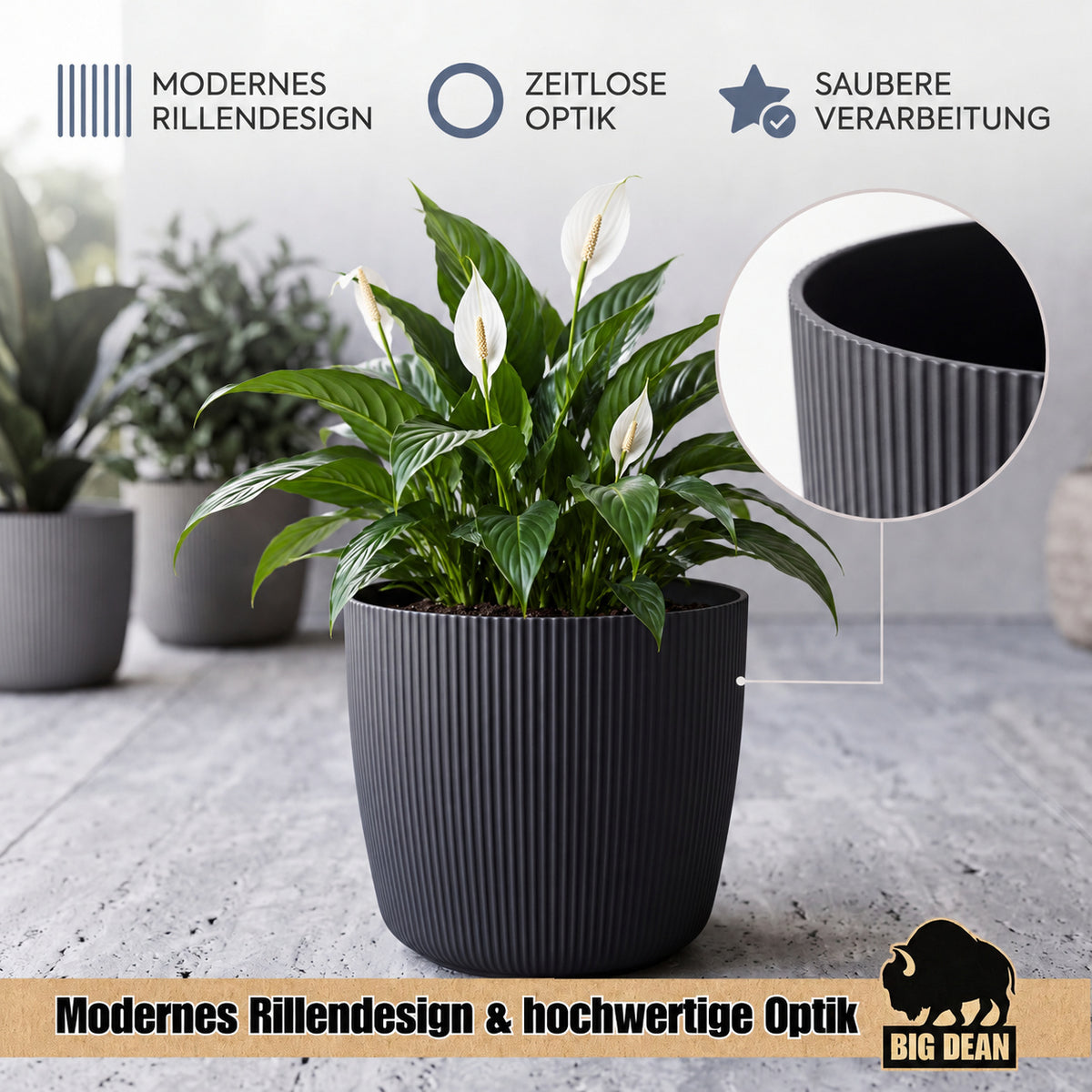 BigDean 2er Set Blumentopf Ø 20 x H 17cm mit Schwarz Übertopf mit Einsatz  image 4