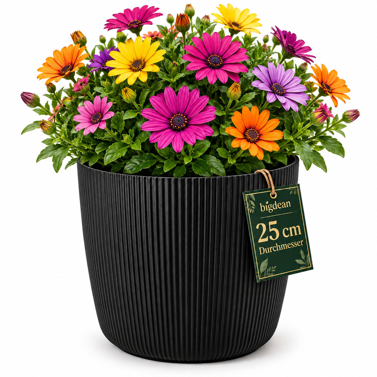BigDean Blumentopf Ø 25 x H 22cm mit Schwarz Übertopf mit Einsatz  image 2