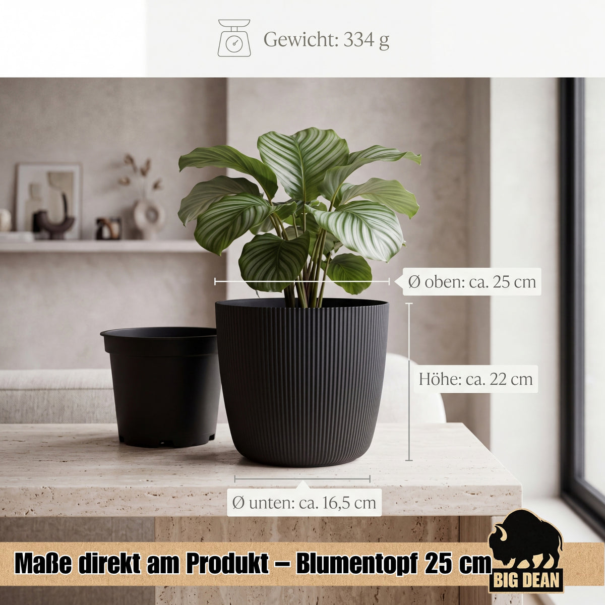 BigDean Blumentopf Ø 25 x H 22cm mit Schwarz Übertopf mit Einsatz  image 3