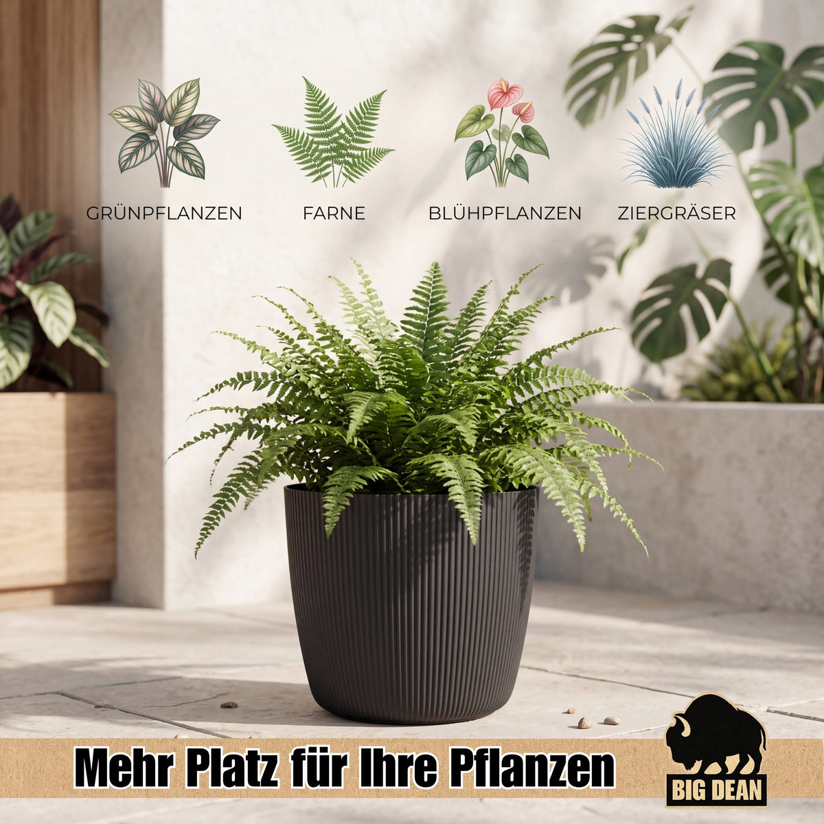 BigDean Blumentopf Ø 25 x H 22cm mit Schwarz Übertopf mit Einsatz  image 6