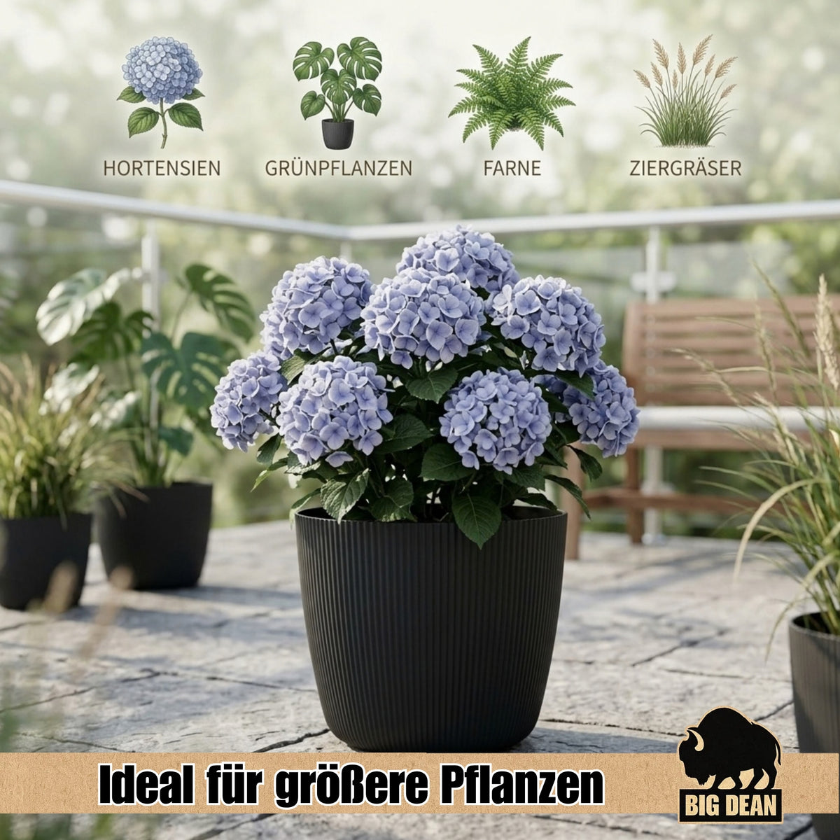 BigDean Blumentopf Ø 30 x H 26cm mit Schwarz Übertopf mit Einsatz image 6
