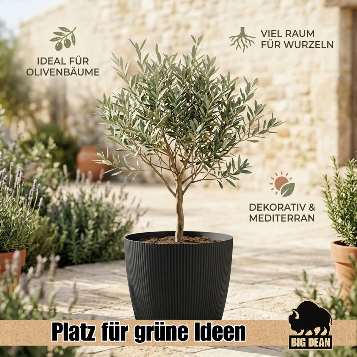 BigDean Blumentopf Ø 35 x H 29,5cm mit Schwarz Übertopf mit Einsatz  image 6