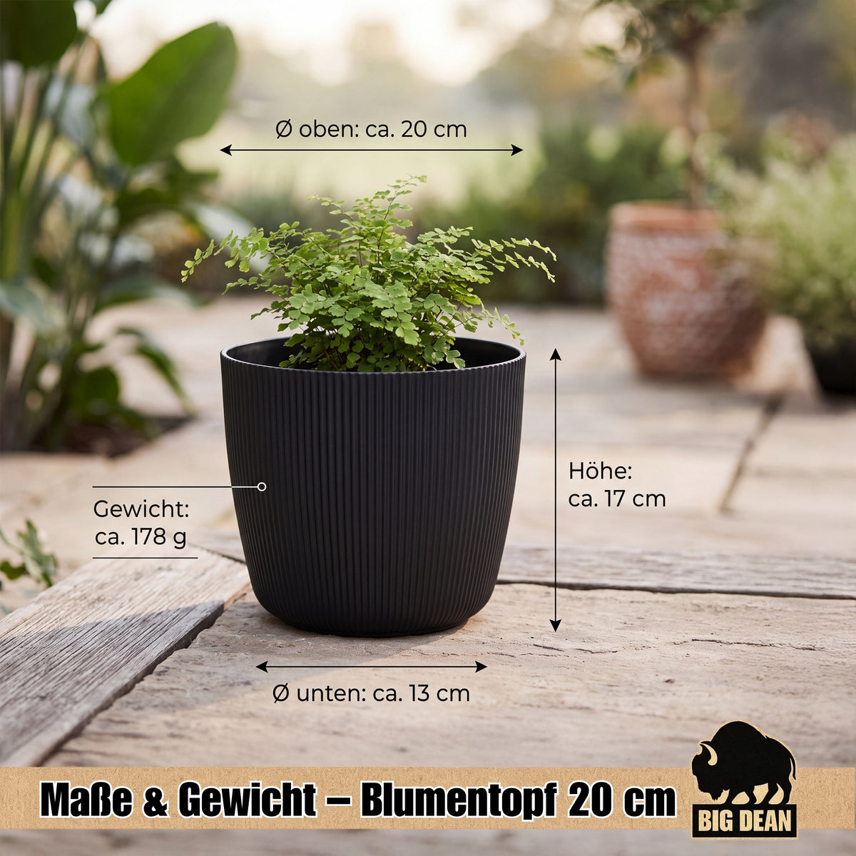 BigDean 6er Set Blumentopf Ø 20 x H 17cm mit Schwarz Übertopf mit Einsatz  image 3