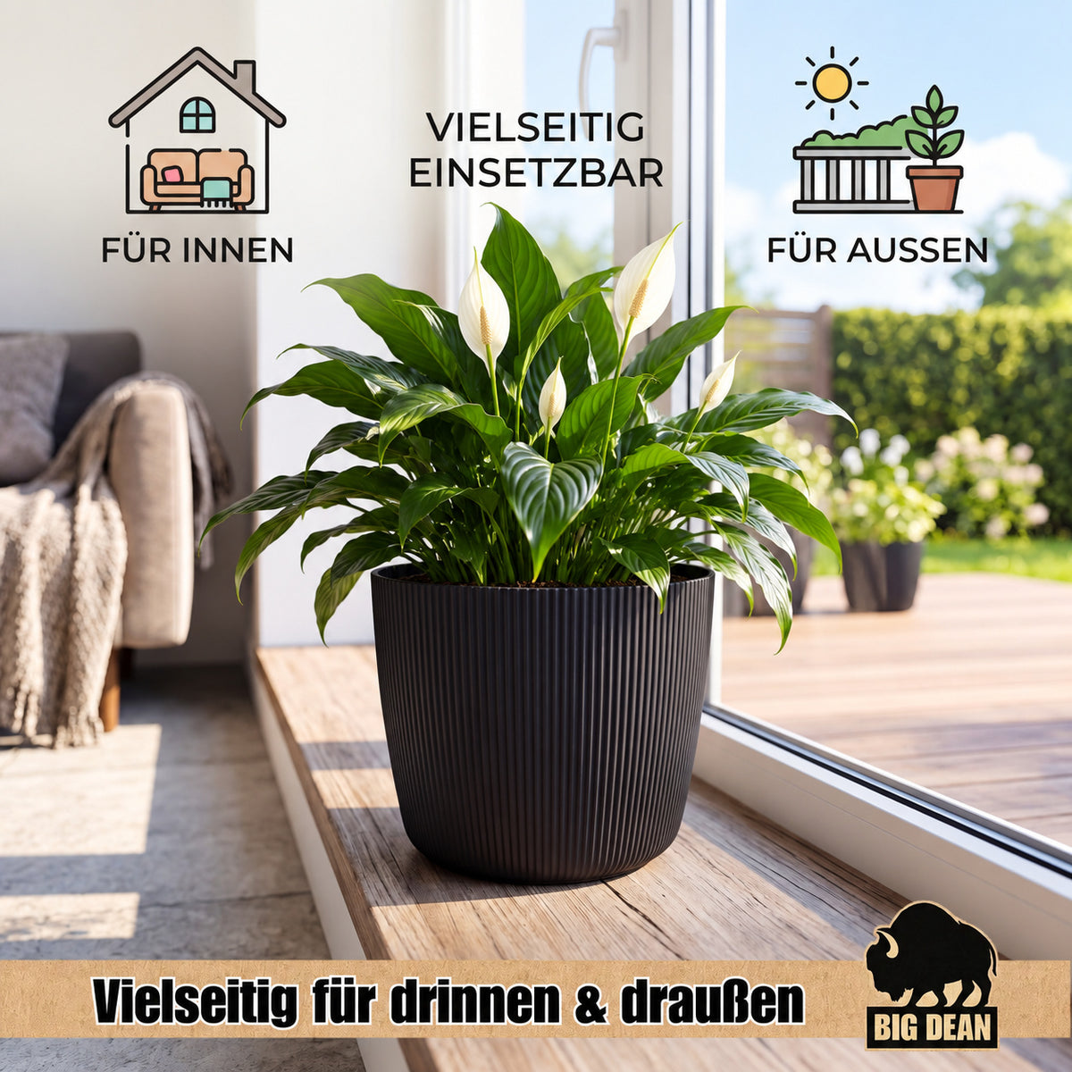 BigDean 6er Set Blumentopf Ø 20 x H 17cm mit Schwarz Übertopf mit Einsatz  image 5