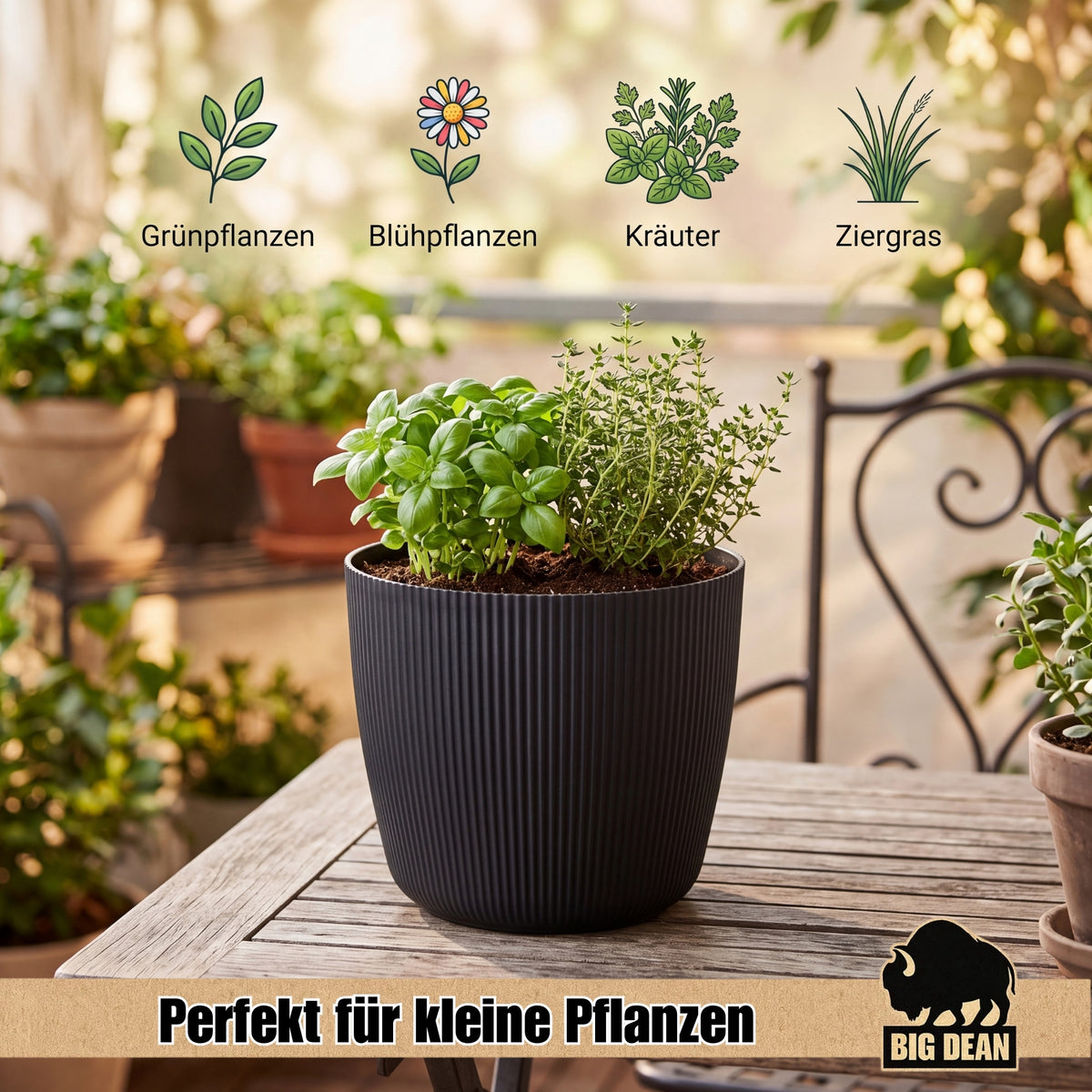 BigDean 6er Set Blumentopf Ø 20 x H 17cm mit Schwarz Übertopf mit Einsatz  image 6