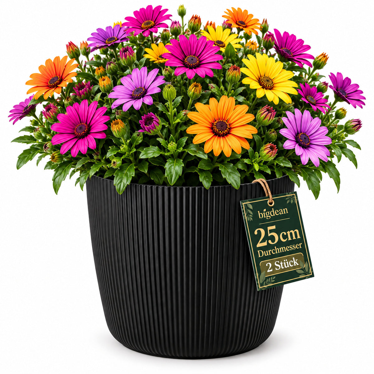 BigDean 2er Set Blumentopf Ø 25 x H 22cm mit Schwarz Übertopf mit Einsatz image 2