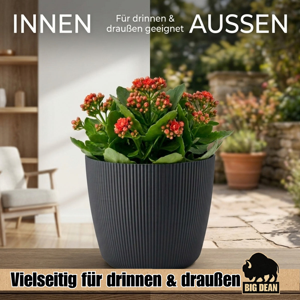 BigDean 2er Set Blumentopf Ø 25 x H 22cm mit Schwarz Übertopf mit Einsatz image 5