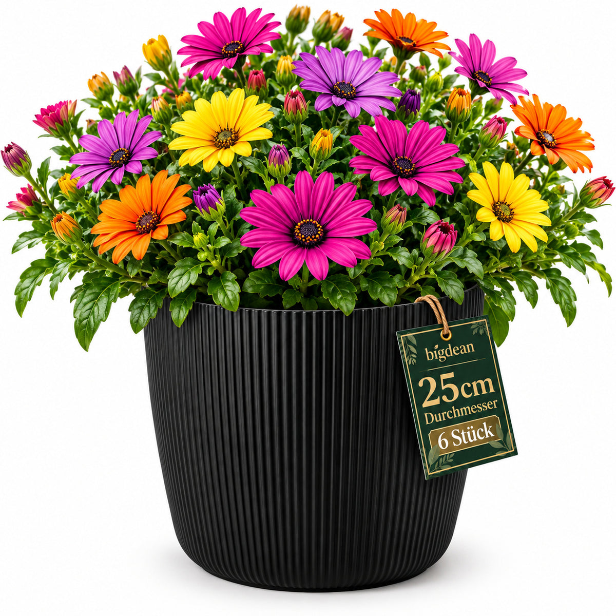 BigDean 6er Set Blumentopf Ø 25 x H 22cm mit Schwarz Übertopf mit Einsatz  image 2