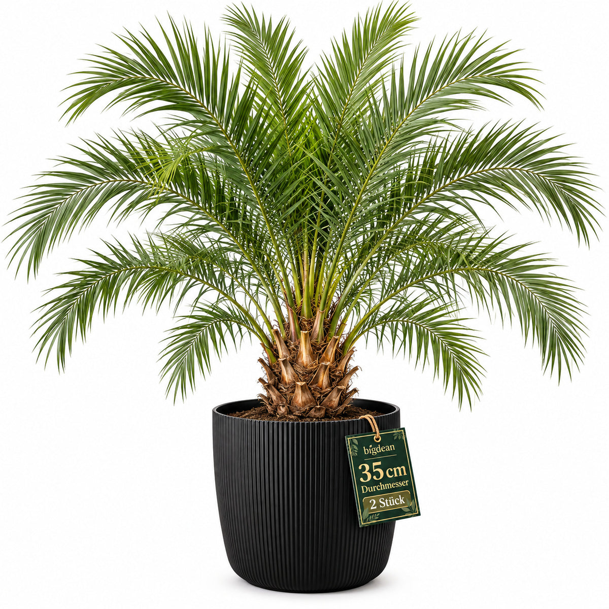 BigDean 2er Set Blumentopf Ø 35 x H 29,5cm mit Schwarz Übertopf mit Einsatz  image 2